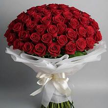 Букет 101 Красная роза Блэк Мэджик в Кирсе