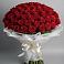 Букет 101 Красная роза Блэк Мэджик в Кирсе