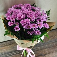 Букет цветов из:  Хризантемы #REPLACE_PRED# Кирсе