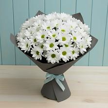 Букет цветов из:  Хризантемы в Кирсе