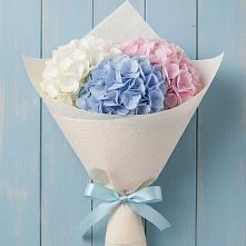 Букет цветов из:  Гортензия в Кирсе