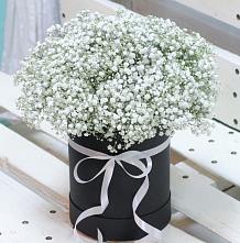 Цветочная композиция из Гипсофила в шляпной коробке #REPLACE_PRED# Кирсе