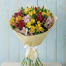 Букет цветов из:  Альстромерии в Кирсе