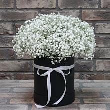 Цветочная композиция из Гипсофила в шляпной коробке в Кирсе