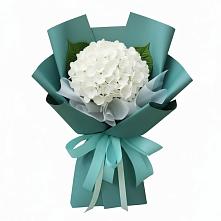Букет цветов из:  Гортензия в Кирсе